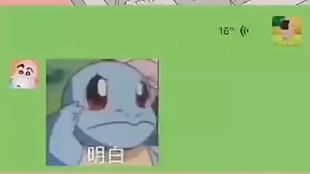 幽默之王皓，免费观看的快乐源泉