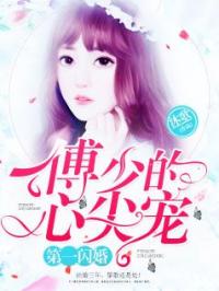 心尖独宠，免费短剧的魅力与体验