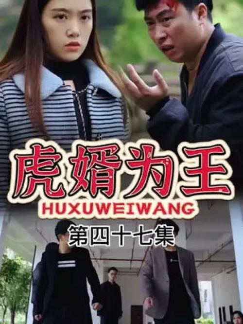 大宝短剧逍遥王，免费观影的快乐之旅