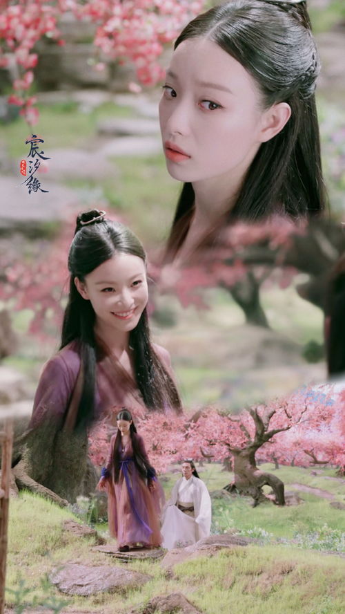 秦羽小雪短剧，视觉与情感的免费盛宴