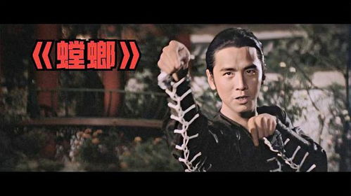 绝世神功归来，重温经典短剧的魅力