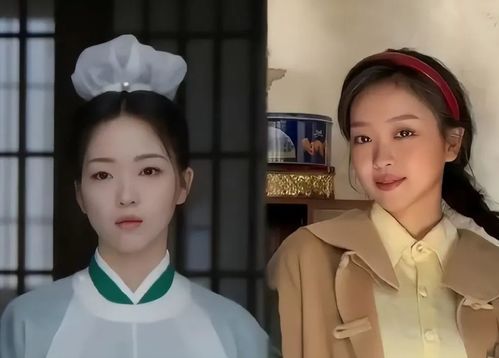 天生女主，免费短剧的魅力之旅