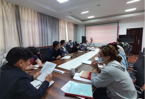 陈梦的未来规划，积极回应，勇攀高峰的决心与行动