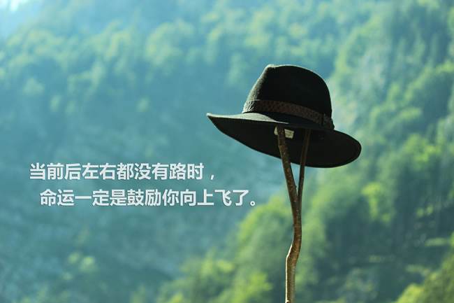 励志宣言，免费观看高清短剧，唤醒你我内心的力量