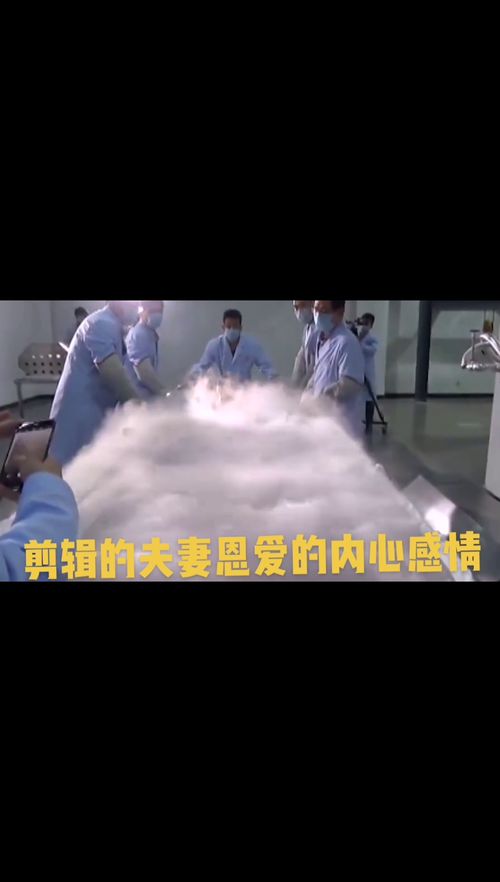 免费观看，刺客夫妇的精彩故事全集