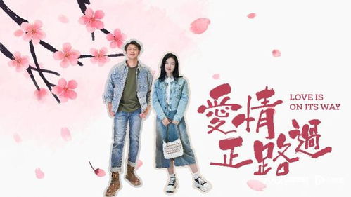 侍女回话，探索免费高清短剧的精彩世界