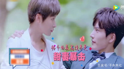 小凯与源源的甜蜜CP之旅，免费短剧观看