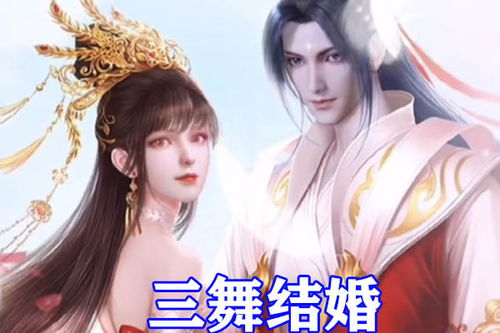 赘婿大陆，免费短剧的乐趣与魅力