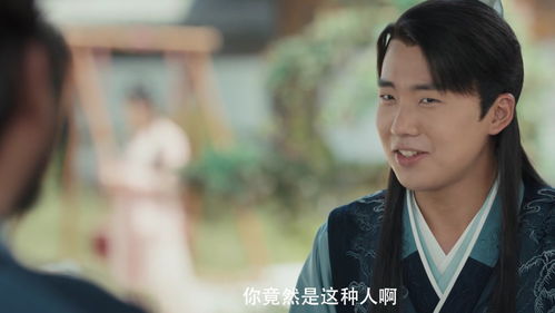 轮椅之上的精彩赘婿，免费观看的绝佳选择