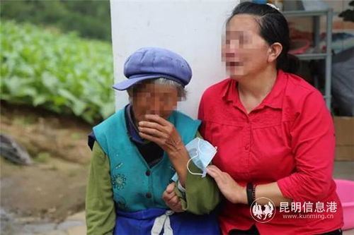 寻亲之旅，免费观看寻找亲生妹妹的短剧