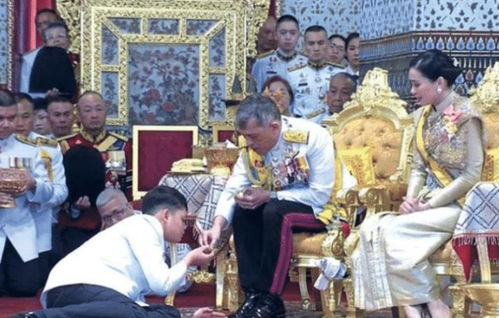 家族传承之继位篇——免费观看的短剧，领略家族魅力