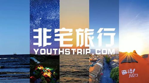 全球热浪下的免费短剧观看探索与体验