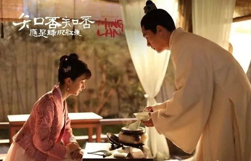 绝品医妃，医术与爱情的魅力之旅