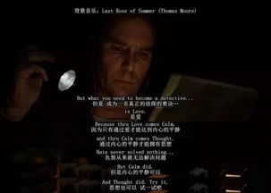 救赎的魅力，情感短剧免费观看全集的快乐
