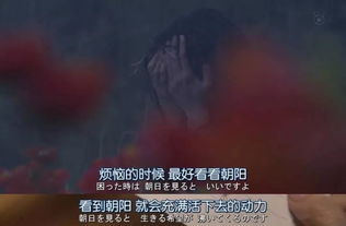免费观看，生活的精彩瞬间之救命时刻