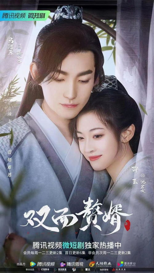 赘婿全集免费观看，热播短剧的魅力