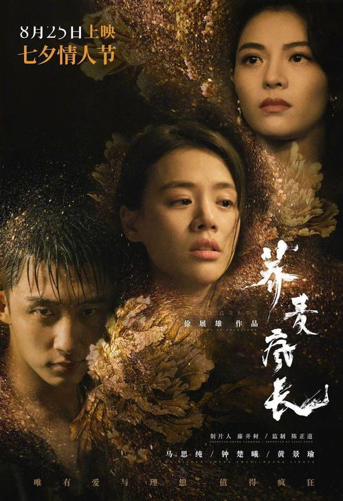 重温经典，短剧僵尸转世全集免费观看