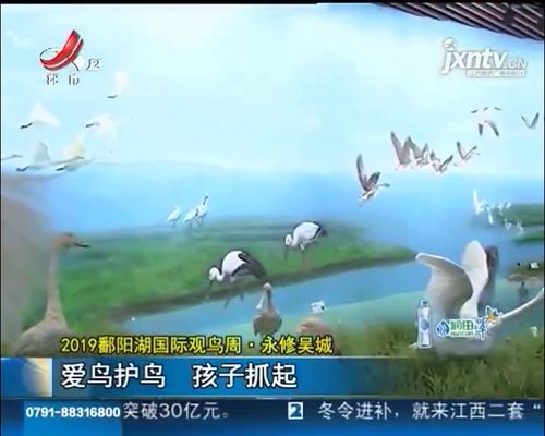 爱鸟护鸟行动，免费观看之旅的短剧之旅