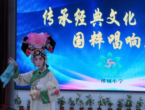 免费观看侍女回话短剧，视听盛宴的享受