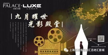 我的决心，免费短剧的观影体验与心灵感悟