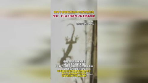 河南两男子捕捉44只壁虎被刑拘，生态保护意识亟需提升
