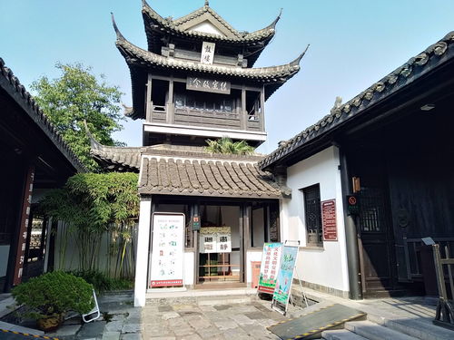免费观看，圣人学生短剧，领略文化魅力