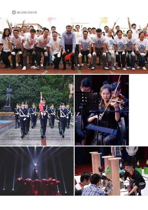神龙短剧，免费高清全集中独特体验