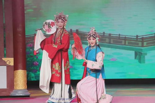 玫瑰冠冕全屏免费短剧，精彩演绎等你观看