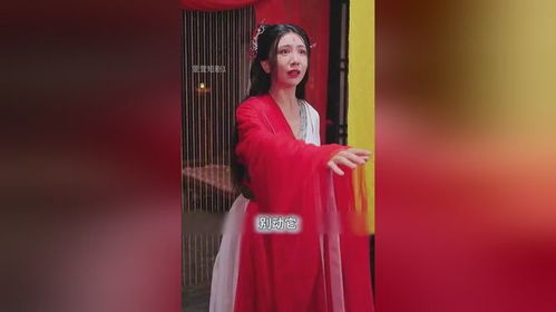 免费观看，迷晕总裁短剧，精彩不容错过
