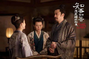战国护婿，免费短剧的精彩世界
