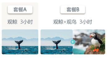 翻转地球，在线免费短剧探索之旅