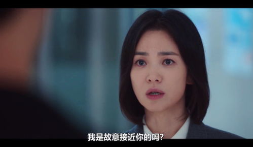 前妻在线，情感纠葛的深度解读