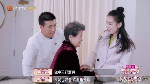 免费观看恶婆婆短剧平台，家庭伦理魅力探索