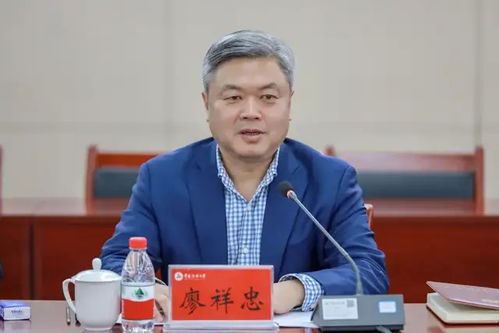 徐伟短剧全集免费观看，探索网络影视新风尚的便捷体验
