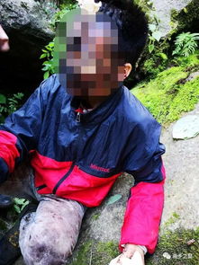 跌落山崖，一部引人入胜的短剧免费欣赏