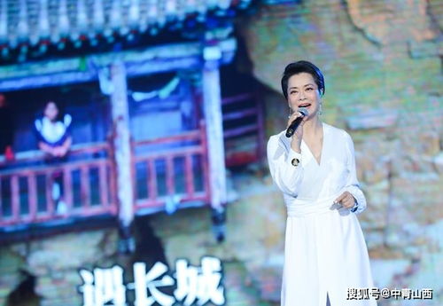 娇娇王妃驾到，免费短剧的魅力之旅