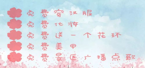 免费观看短剧，魅力之旅，劝你御览天下