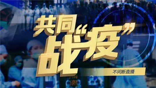 全新体验，免费观看无人直播小说短剧的魅力之旅