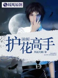 护花高手，免费观看的完结短剧