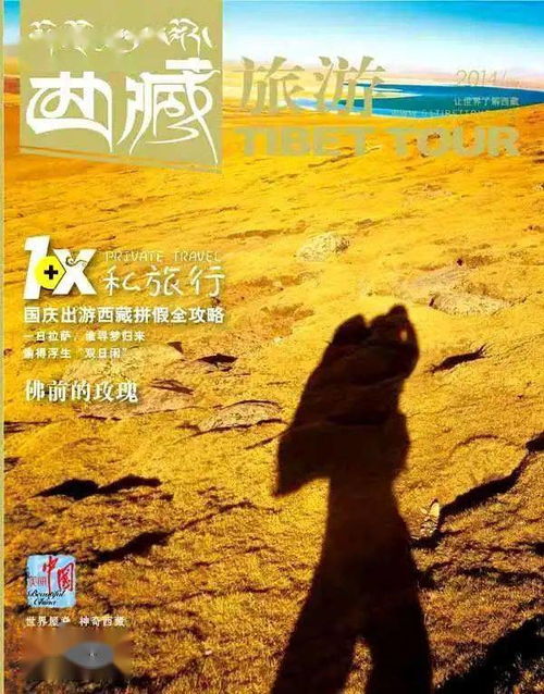 奔赴山河，免费短剧全集观看之旅