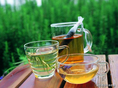 情感绿茶，高清短剧的魅力之旅