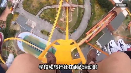 女生坐过山车致高位截瘫，事故背后的警示与反思