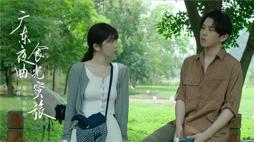 《美飒小厨娘》，短剧医道赘婿全集免费观看，深入剖析与感悟，短剧医道赘婿免费观看全集高清
