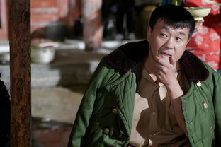 潜龙勿惹深度解析与体验分享，出渊短剧免费观看81热播版