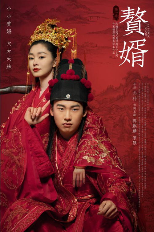 御龙门迎春短剧，皇家赘婿高清免费观看之旅