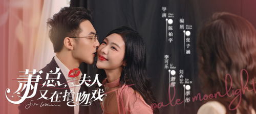 闪婚后夫人每天都在线打脸，深度解析与观剧体验，赘婿短剧免费观看全集解析