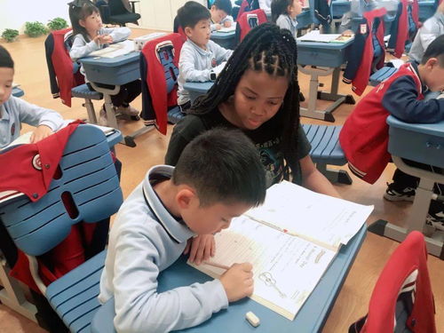 实习后，千金马甲藏不住的短剧免费观看全集