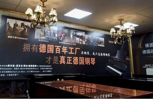 医妃搬空库房去逃荒深度解析与观众体验分享，高清短剧免费观看指南