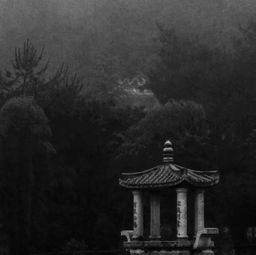 《游龙归乡》短剧在线观看，暮色不及你难忘短剧在线观看，暮色不及你难忘短剧短剧在线观看