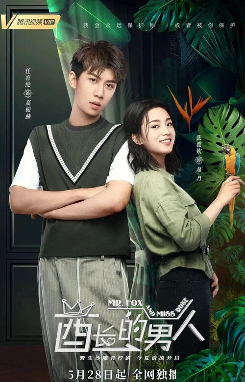 《双龙会之凤鸣龙吟》短剧在线观看，无上神主的神秘之旅短剧在线观看，无上神主短剧免费观看短剧在线观看